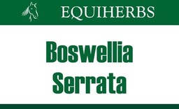 EQUIHERBS Boswellia Seratta Kadzidłowiec 0,5 kg -