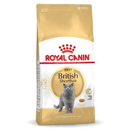 ROYAL CANIN FBN British Shorthair Adult - sucha