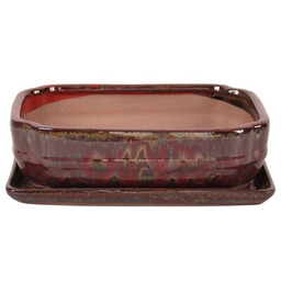 Donica szkliwiona Bonsai z podstawką 27,3 x 21