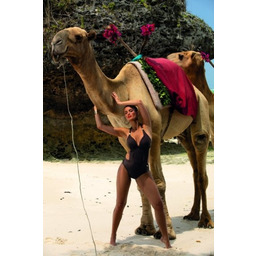 Monokini Marko Anina M-680 (3)