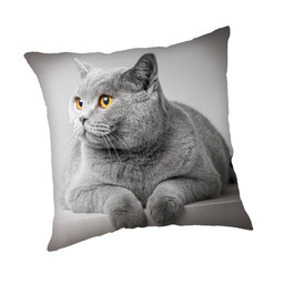 Jerry Fabrics Poszewka dziecięca 45x45 Kot szara JF24