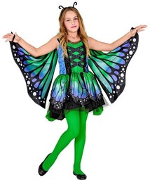 Strój Motyla Motylka-116