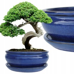 Donica Do Bonsai Z Podstawką Ceramiczna Szkliwiona Niebieska
