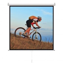 Art Ekran ręczny półautomat 1:1 118'' 213x213cm MS-84