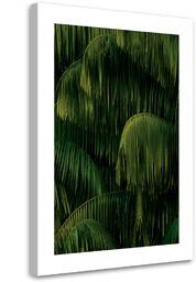 Obraz na płótnie, Palmy po deszczu 40x60