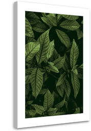 Obraz na płótnie, Zielone liście 60x90