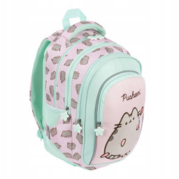 Plecak 4 komorowy Pusheen pink