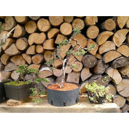 Euro-Akadama ziemia do bonsai 20 Kg/40 L 1-4mm