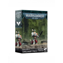 W40k: Blood Angels - Sanguinary Priest (1 figurka)