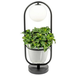 Lindby - Orna Lampa Stołowa Black/Opal