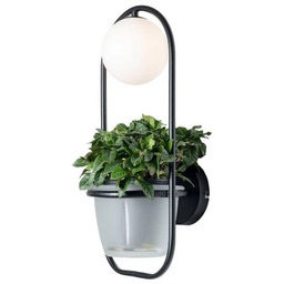 Lindby - Orna Lampa Ścienna Black/Opal