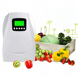 Ozonator żywności wody 500mg/h sterylizacja, odgrzybianie 220V Universal