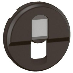 Plakietka gniazda pojedynczego RJ45 C liane czarna Legrand
