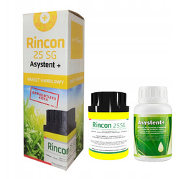 Rincon 25 Sg 60g Asystent 100ml Herbicyd