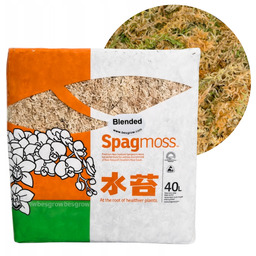 Mech Sphagnum Torfowiec Besgrow SpagMoss 500g 40L Mech