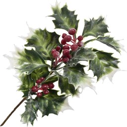 OSTROKRZEW GAŁĄZKA DEKORACJA ŚWIĘTA LIŚĆ