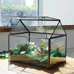 Duże szklane terrarium roślinne domowe terrarium ze szkłem,