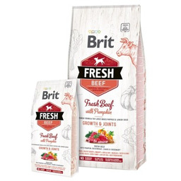 BRIT Fresh Beef & Pumpkin Puppy Large Growth