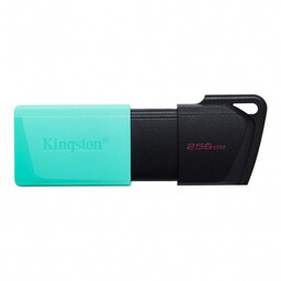 Pendrive Kingston 256GB USB 3.2 DataTraveler Exodia M