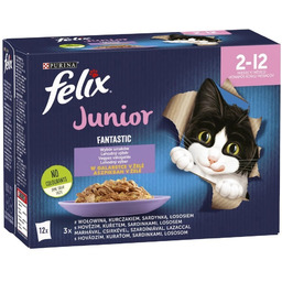 Felix Fantastic Junior W Galaretce 12x85g