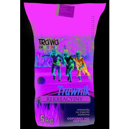 Trawnik Rekreacyjny 5 kg worek papierowy