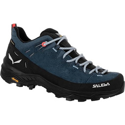 Salewa Kobiety Mtn Trainer 2 Mid Gtx WButy