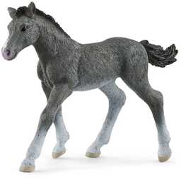 SCHLEICH Figurka źrebak rasy trakeńskiej HORSE CLUB