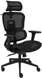 Fotel ergonomiczny Pedro, obrotowy, na kółkach, do gabinetu,