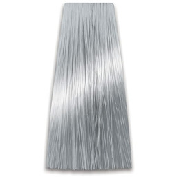 PROSALON Intensis Color Art Toner srebrno-szary 100 g