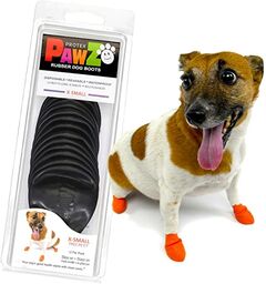 Pawz Skarpetki dla Psów, Czarny, 12 Sztuk