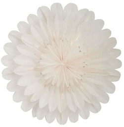 Watt & Veke - Lotus 60 Gwiazda White