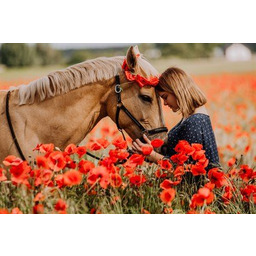 Uwiecznij piękne chwile  sesja fotograficzna w plenerze