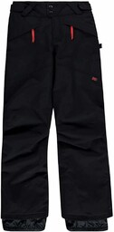 O''Neill Anvil Pants chłopięce spodnie narciarskie czarny czarny