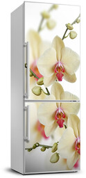 Naklejka okleina lodówkę Orchidea