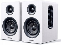 Zestaw Głośników 2.0 Sanyun SW-208 50 W Biały