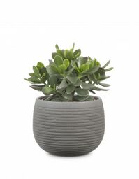 Okrągła osłonka ceramiczna 744 brązowy kamień 18 Scheurich