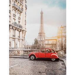 Obraz na płótnie CANVAS 60 x 80 cm