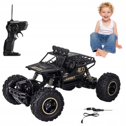 Auto Rc 1:16 Zdalnie Sterowane 4WD Podwójny Silnik