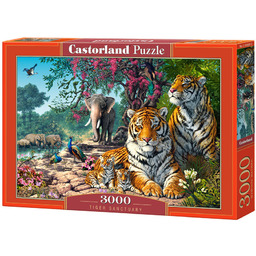 Castorland, puzzle, Sanktuarium Tygrysów, 3000 el.