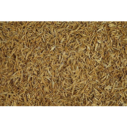 Tetra Anchovies 1L 12 CE