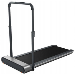 Bieżnia elektryczna Kingsmith TRR1F