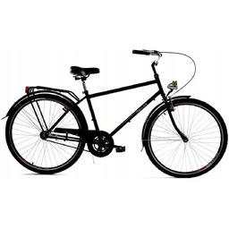 Rower miejski męski z przerzutkami DALLAS BIKE 28