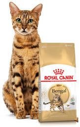 ROYAL CANIN Bengal Adult 2kg karma sucha