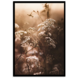 Obraz Framepic 50 x 70 cm FP052 AUTUMN