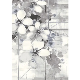 Dywan nowoczesny Myra 1532 grey