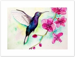 Wee Blue Coo Koliber i orchidea artystyczny nadruk