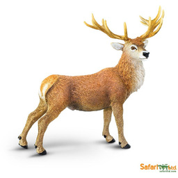 Safari Ltd 181929 Jeleń szlachetny 12x10,75cm
