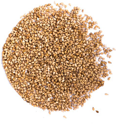 Sezam prażony 10kg