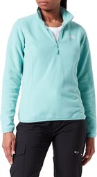 THE NORTH FACE 100 Glacier Sweatshirt Wasabi XS