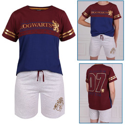 HARRY POTTER Hogwarts Szaro-bordowy letni komplet chłopięcy, 12-13